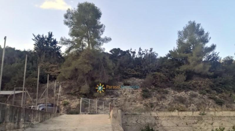 Alicante - Adsubia - 99264m2