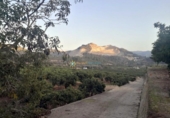 Casa de camp amb terreny en venda a la España, l'Atzúbia, ref.: TR320728 foto