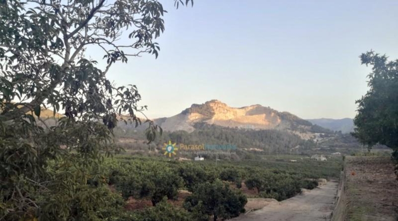 Alicante - Adsubia - 99264m2