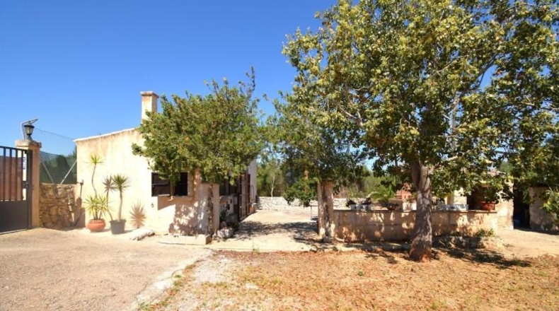 Illes Balears - Muro - 7132m2