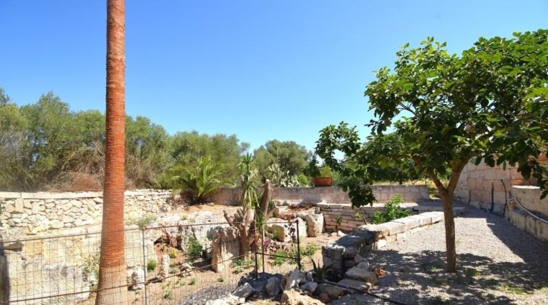 Illes Balears - Muro - 7132m2