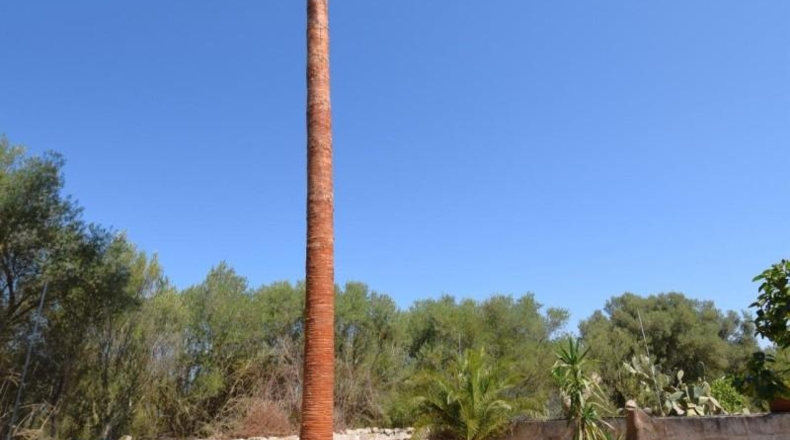 Illes Balears - Muro - 7132m2