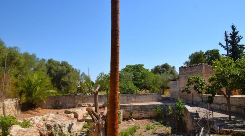 Illes Balears - Muro - 7132m2