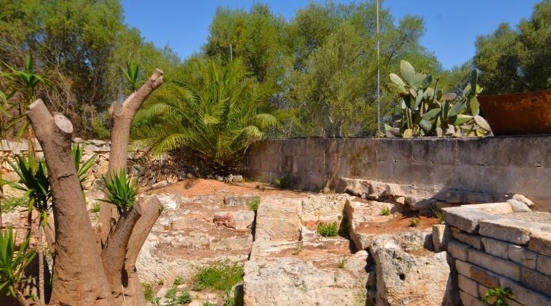 Illes Balears - Muro - 7132m2