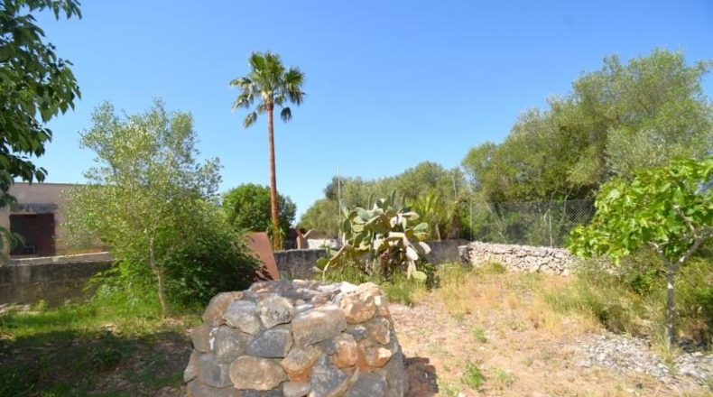 Illes Balears - Muro - 7132m2
