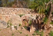 Xalet independent amb terreny en venda a la España, Muro, ref.: TR411551 foto