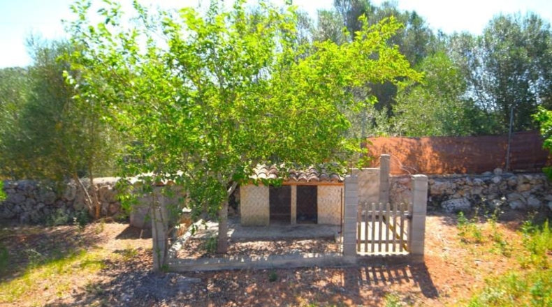 Illes Balears - Muro - 7132m2