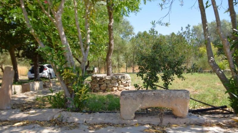 Illes Balears - Muro - 7132m2