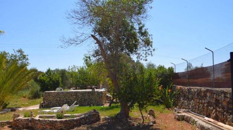 Illes Balears - Muro - 7132m2