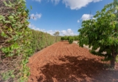 Finca rústica en venda a la España, Villanueva del Rosario, ref.: TR408883 foto
