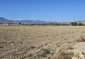 Chalet independiente con terreno en venta en la España, Aspe, ref: TR280698 foto
