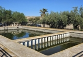 Chalet independiente con terreno en venta en la España, Aspe, ref: TR280698 foto