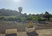 Chalet independiente con terreno en venta en la España, Aspe, ref: TR280698 foto