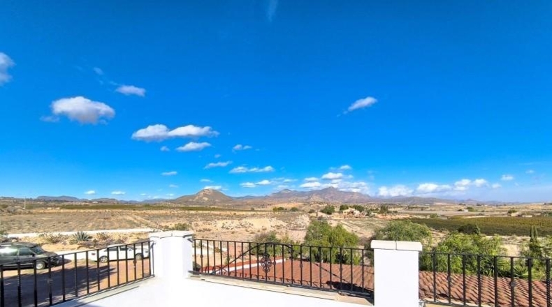 Alicante - Dolores - 10000m2
