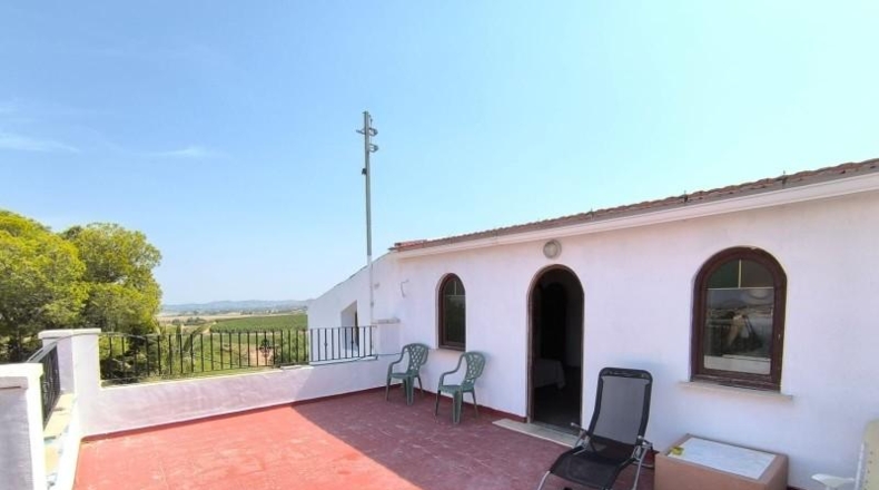 Alicante - Dolores - 10000m2