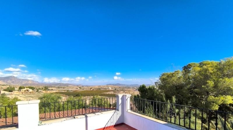 Alicante - Dolores - 10000m2
