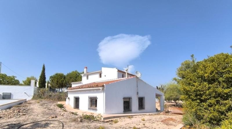 Alicante - Dolores - 10000m2