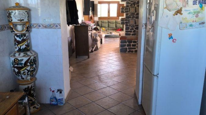 Alicante - Dolores - 10000m2