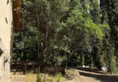 Xalet independent amb terreny en venda a la España, Sant Aniol de Finestres, ref.: TR411581 foto