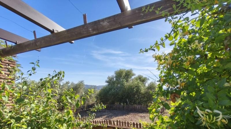 Malaga - Colmenar - 25000m2