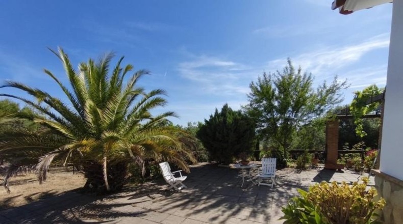 Malaga - Colmenar - 25000m2