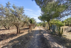 Colmenar 25000&nbsp;m² 
