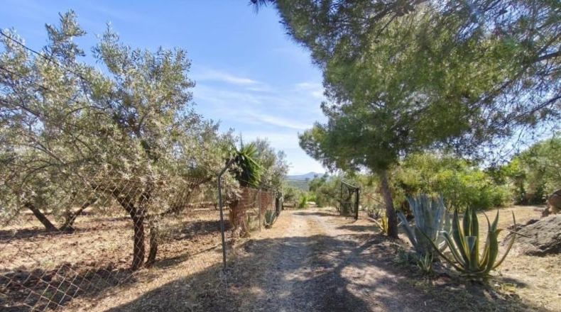Malaga - Colmenar - 25000m2