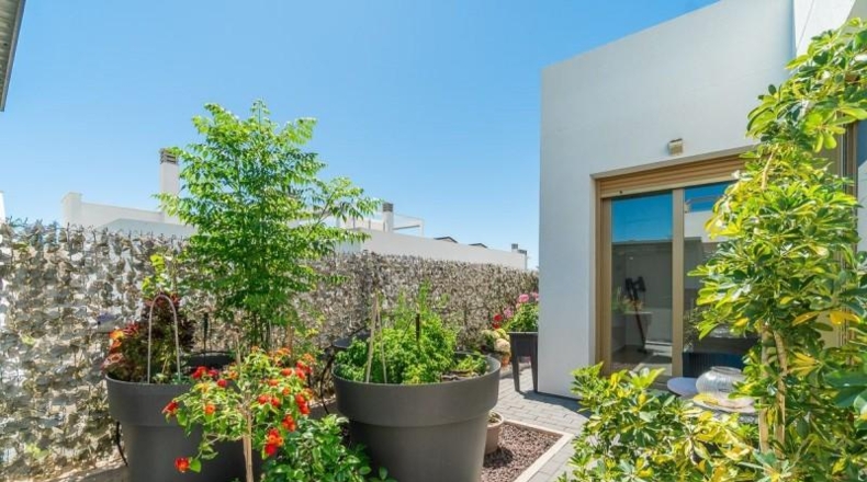 Alicante - Orihuela - 264m2