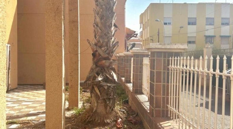 Murcia - San Javier - 574m2