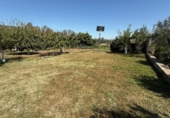 Casa de camp amb terreny en venda a la España, Coín, ref.: TR411613 foto
