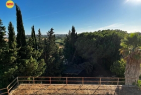 Pinares de Lepe 3299&nbsp;m²