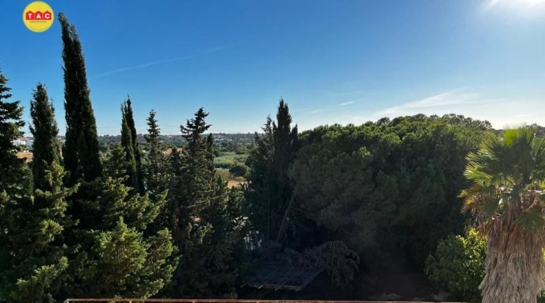 Huelva - Pinares de Lepe - 3299m2