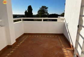 Pinares de Lepe 3299&nbsp;m²