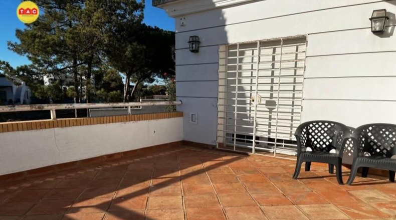 Huelva - Pinares de Lepe - 3299m2