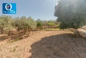 San Vicente del Raspeig 1900&nbsp;m²