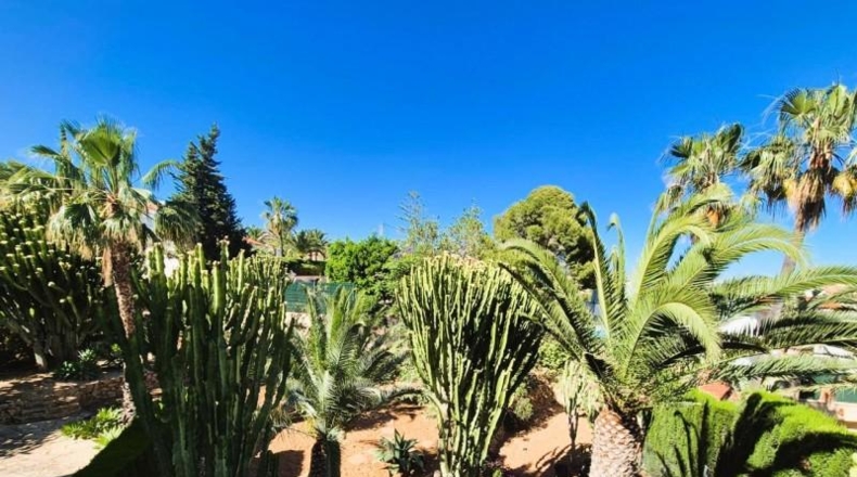 Alicante - La Nucia - 1000m2
