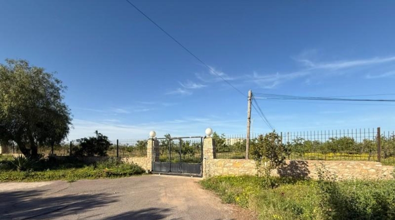 Murcia - Cartagena - 12700m2