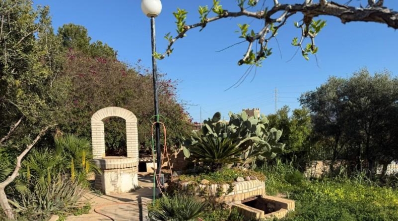 Murcia - Cartagena - 12700m2