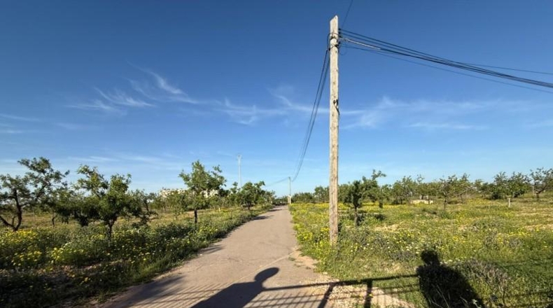 Murcia - Cartagena - 12700m2