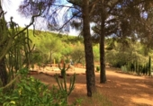 Casa de camp amb terreny en venda a la España, Villaviciosa de Córdoba, ref.: TR345477 foto