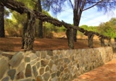 Casa de camp amb terreny en venda a la España, Villaviciosa de Córdoba, ref.: TR345477 foto
