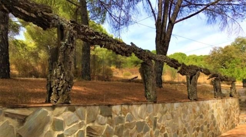 Córdoba - Villaviciosa de Córdoba - 109000m2