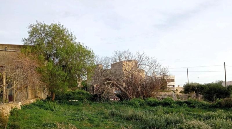 Illes Balears - Cala Santanyí - 1189m2