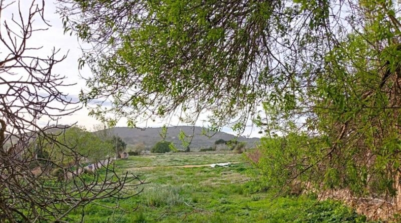 Illes Balears - Cala Santanyí - 1189m2