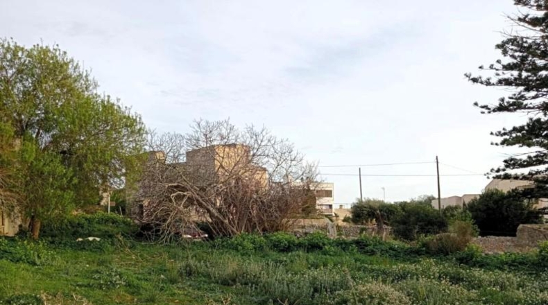 Illes Balears - Cala Santanyí - 1189m2