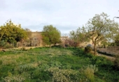Urban land for sale on España, Cala Santanyí, ref: TR411649 photo