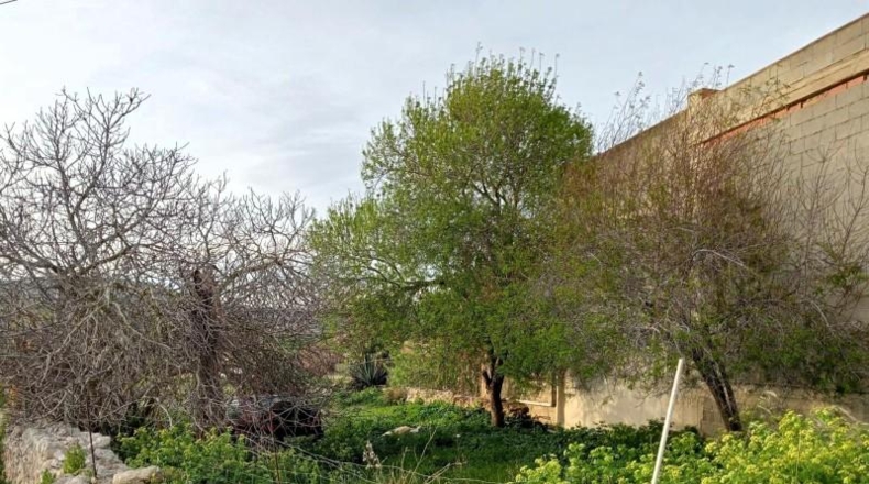 Illes Balears - Cala Santanyí - 1189m2