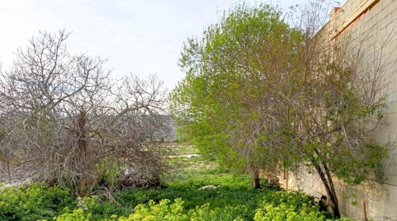 Illes Balears - Cala Santanyí - 1189m2