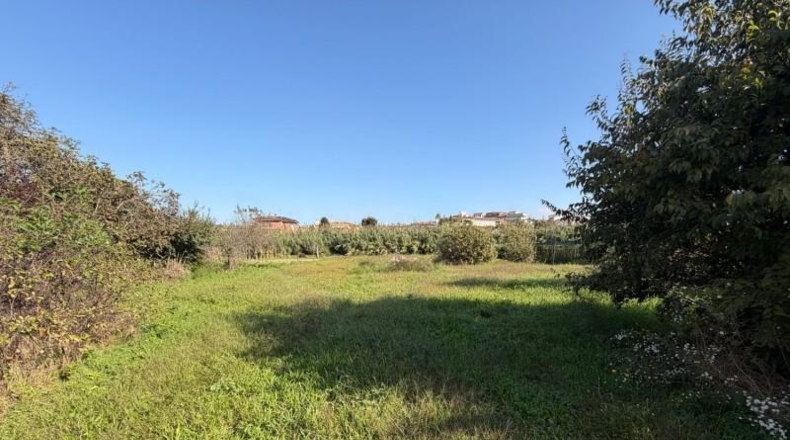 Жирона - Cassà de la Selva - 3558m2