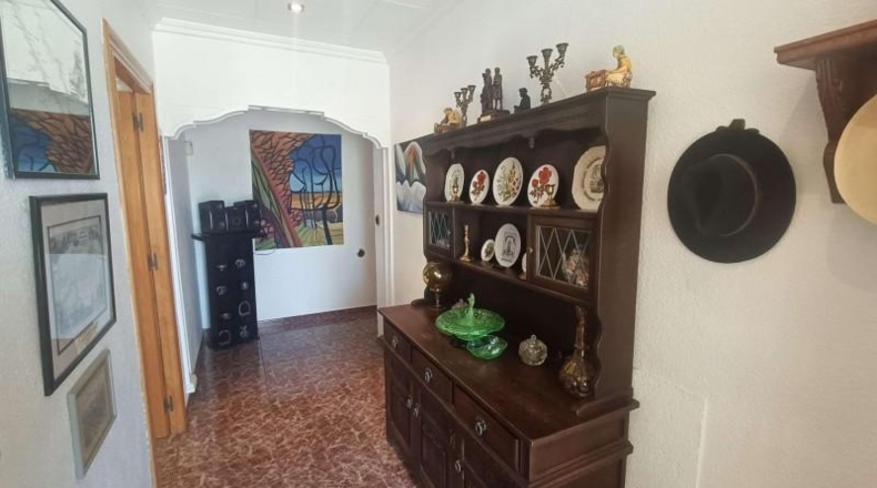 Alicante - Crevillente - 3000m2